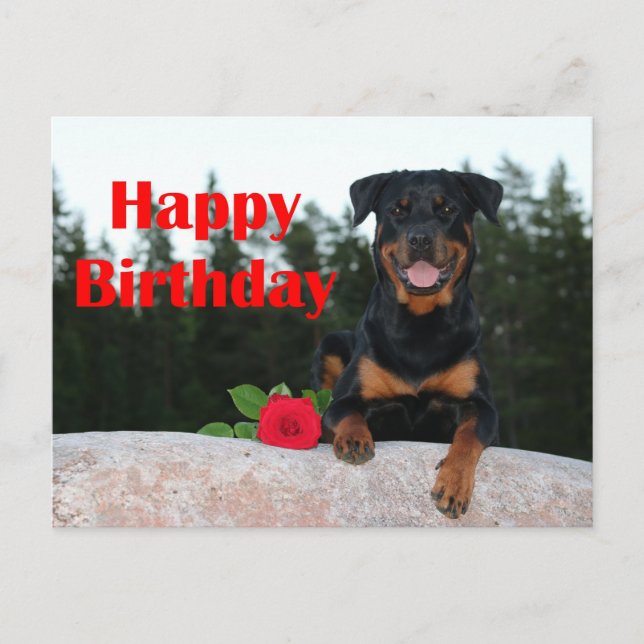 Postal rottweiler feliz cumpleaños (Anverso)