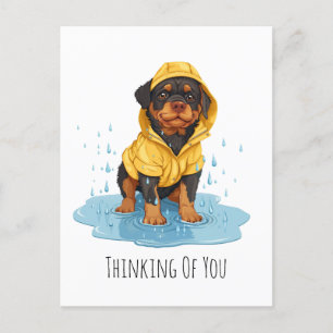 Postal Rottweiler pensando en ti con impermeable
