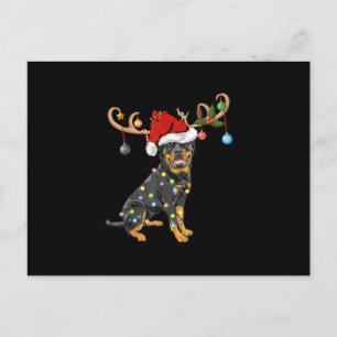Postal Rottweiler Xmas Gift Santas Reindeer Rottweiler