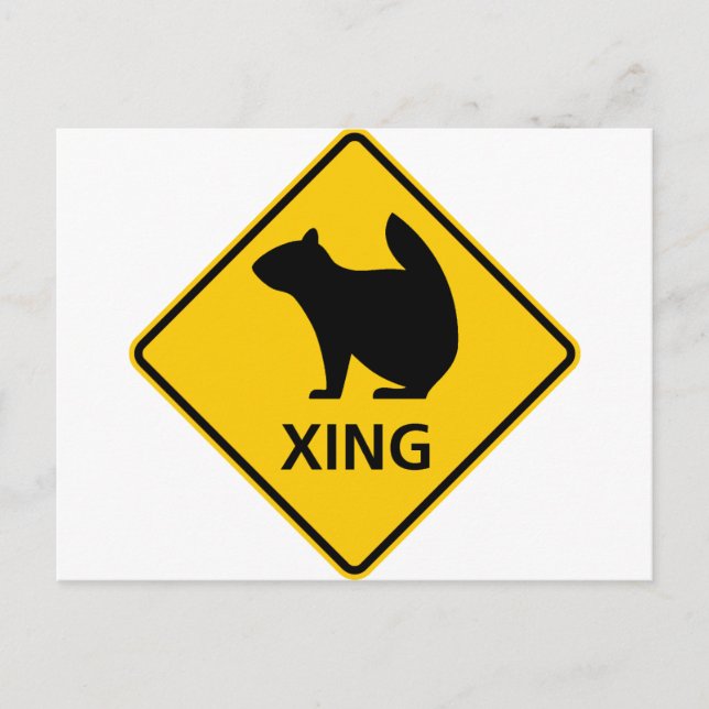 Postal Rótulo de la autopista Squirrel Crossing (Anverso)
