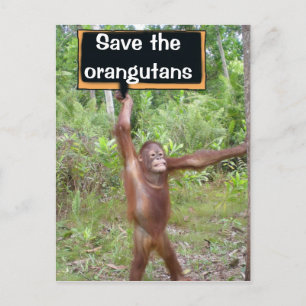 Postal Rótulo de protesta de Orangutan