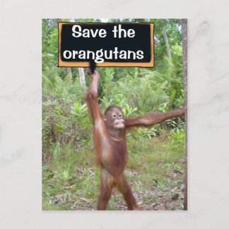 Postal Rótulo de protesta de Orangutan