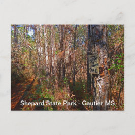 Postal Rótulo de senderos de Shepard State Park