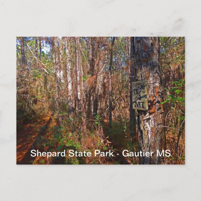 Postal Rótulo de senderos de Shepard State Park (Anverso)