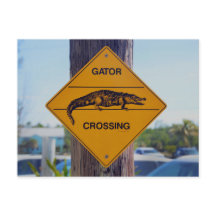 Rótulo Gator Crossing, Florida Photo Print
