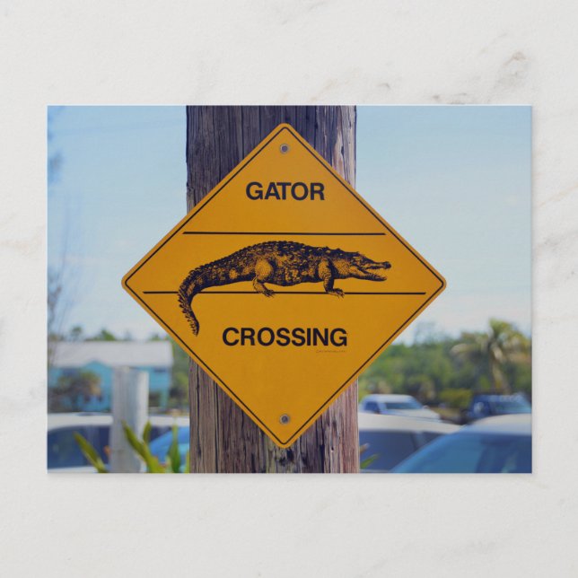 Postal Rótulo Gator Crossing, Florida Photo Print (Anverso)