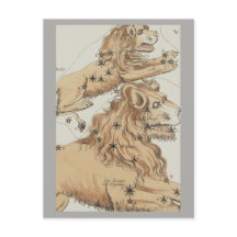 Rótulo Leo Zodiac