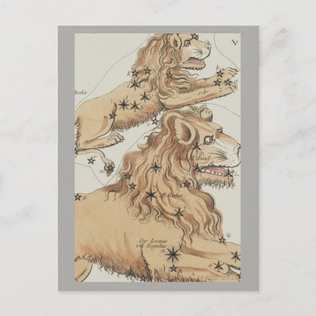 Postal Rótulo Leo Zodiac (Anverso)