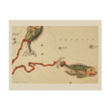 Rótulo Pisces Zodiac