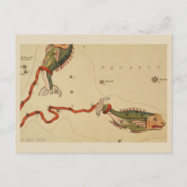 Postal Rótulo Pisces Zodiac