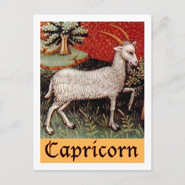 Postal Rótulo Zodiac Capricornio Exótico (Anverso)