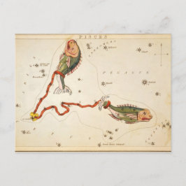 Postal "Rótulo zodiaco: Pisces"