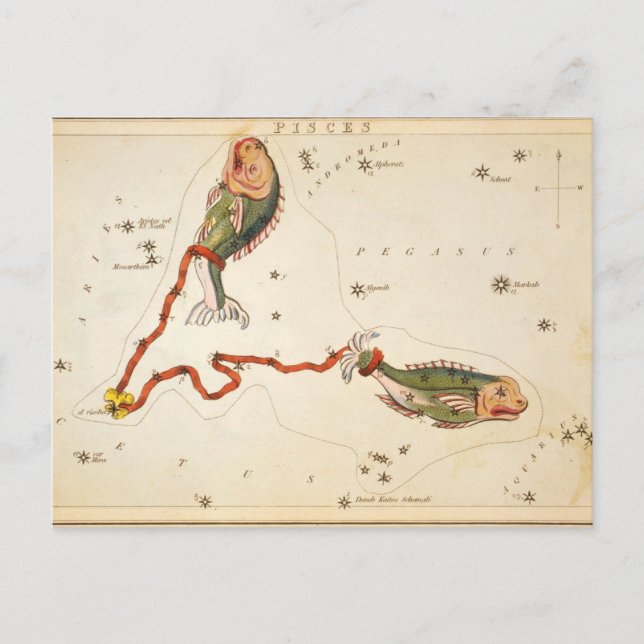 Postal "Rótulo zodiaco: Pisces" (Anverso)