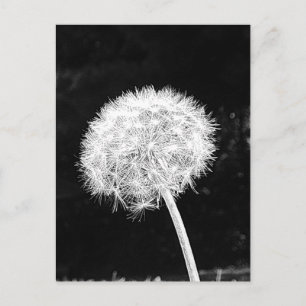 Postal Rótulos de flor de Dandelion en verano