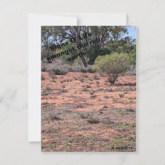 Postal Rótulos O' Life