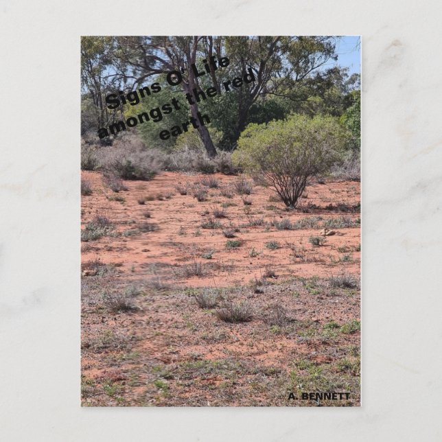 Postal Rótulos O' Life (Anverso)