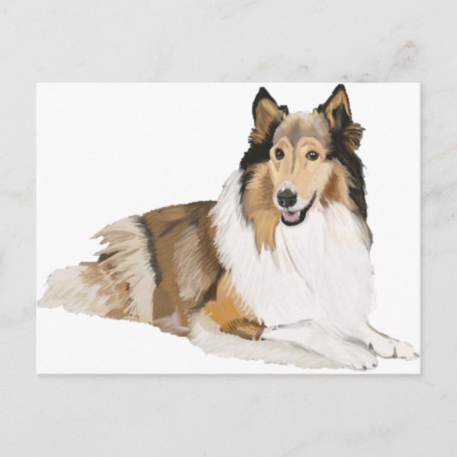Postal Rough Collie (Anverso)
