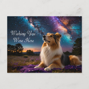 Postal Rough Collie Under Stars