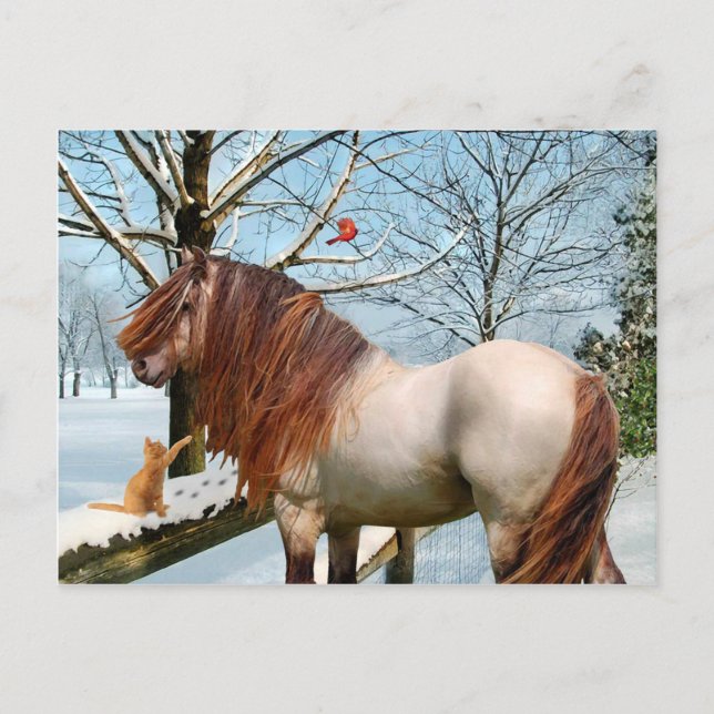 Postal "Rowan" (Anverso)