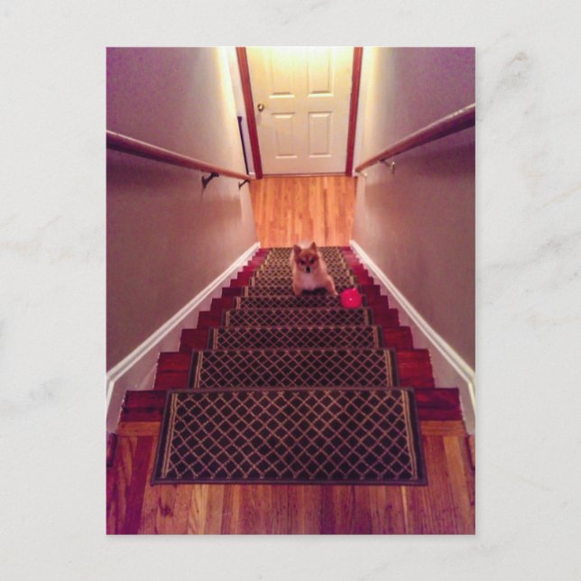 Postal Rowdy Fox Ascending (Anverso)