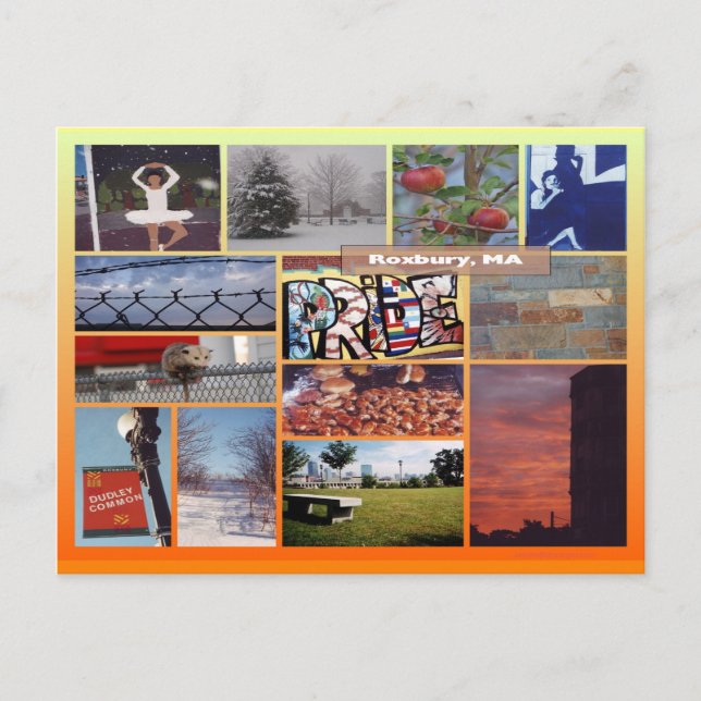 Postal Roxbury, Collage de fotos de Massachusetts 9958 (Anverso)