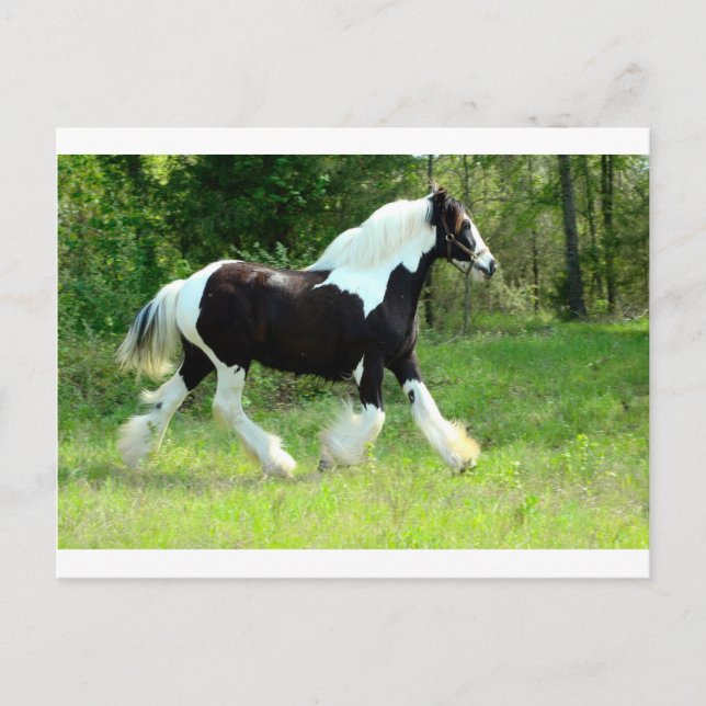 Postal Roxie (Anverso)