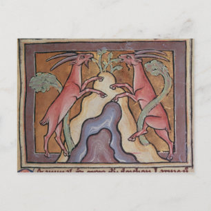 Postal Roy Wild cabras de un Bestiario