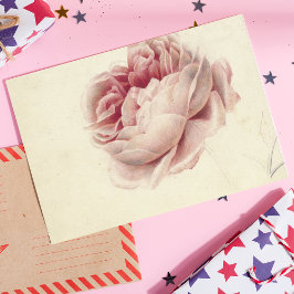 Postal Roze Roos (1792) - Arte botánico de época