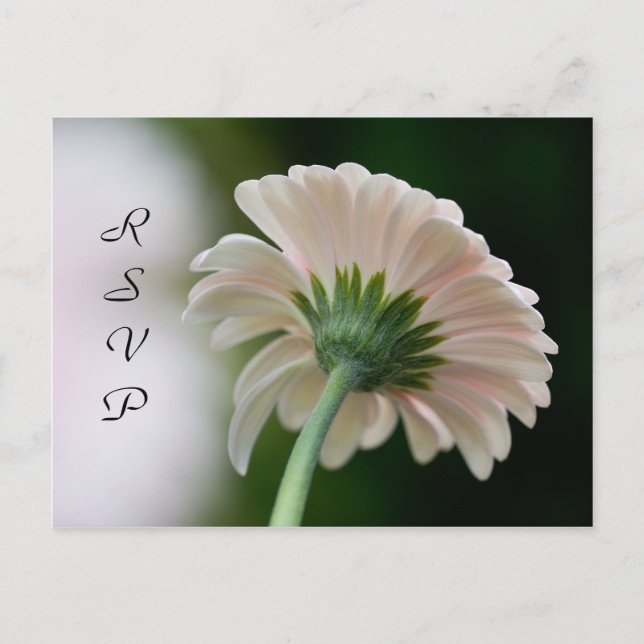 Postal RSVP (Anverso)