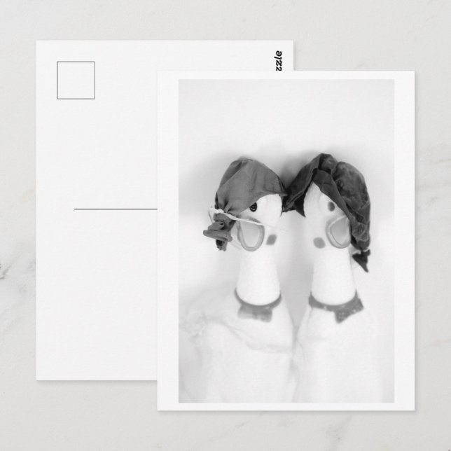 Postal Rubber chickens - The Balloon Twins (Anverso / Reverso)