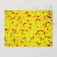 Rubber Duckies