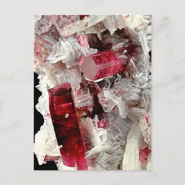 Postal Rubellita (Anverso)