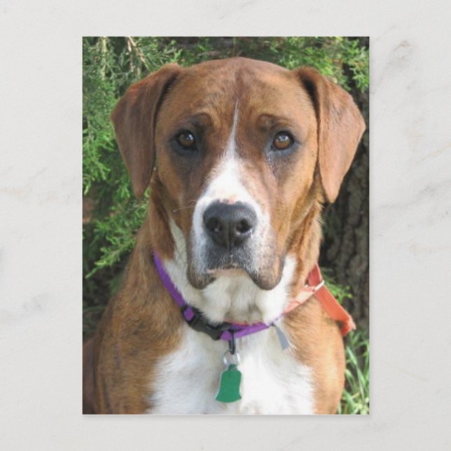 Postal Ruby (Anverso)