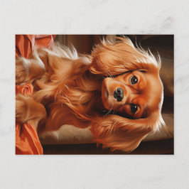 Postal Ruby Cavalier King Charles Spaniel