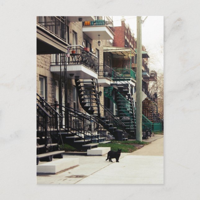 Postal Rue la fontaine (Anverso)