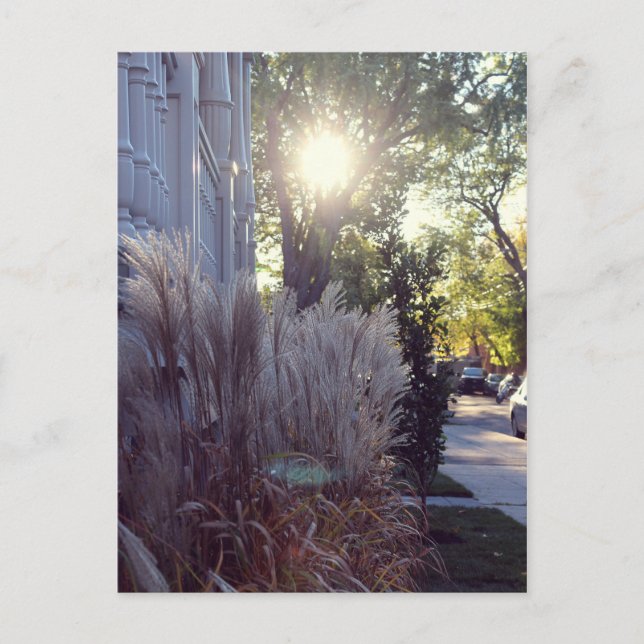 Postal Rue Théodore (Anverso)