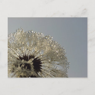 Postal Rueda de gotitas