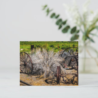 Postal Ruedas históricas de rancho brillantes
