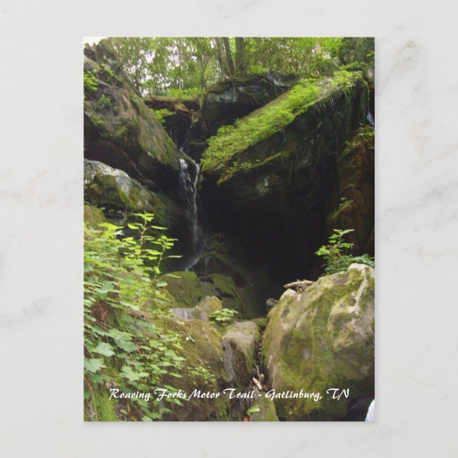 Postal Ruedas Roaring Motor Trail - Gatlinburg, TN (Anverso)