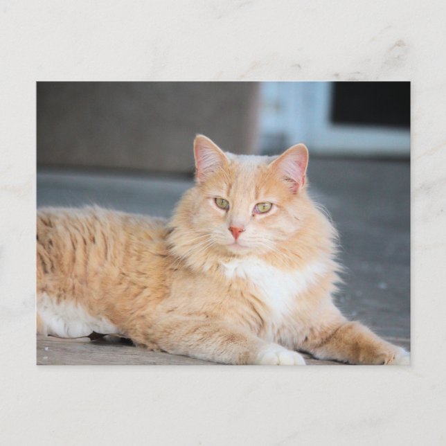 Postal Rufas (Anverso)