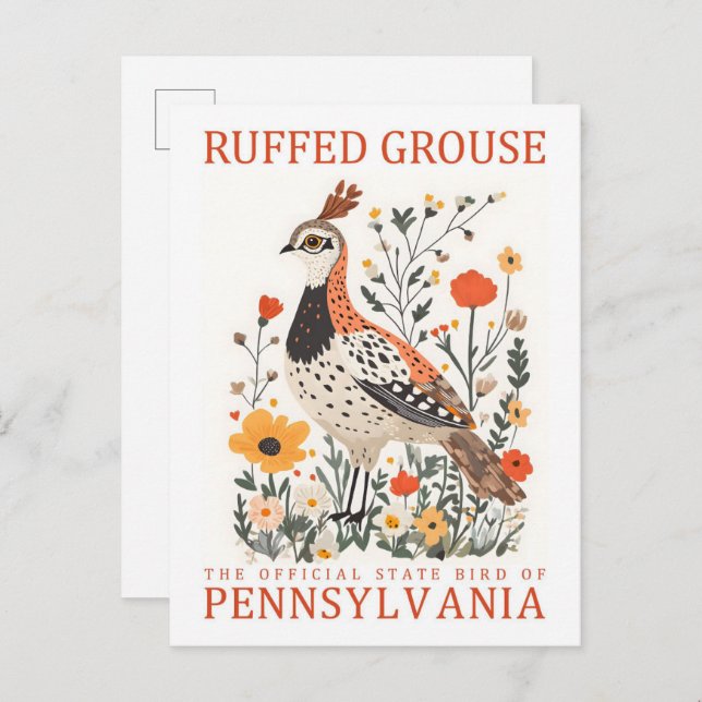 Postal Ruffed Grouse Bird of Pennsylvania Travel (Anverso / Reverso)