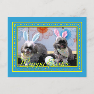 Postal Ruffles_Riley_Shih_Tzu_Miller-2