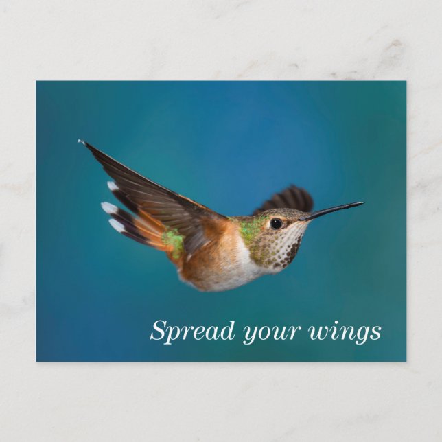 Postal Rufous Hummingbird (Anverso)