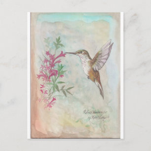 Postal Rufous Hummingbird