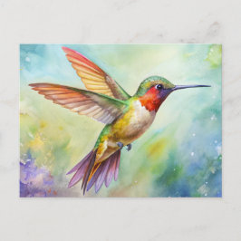 Postal Rufous Hummingbird