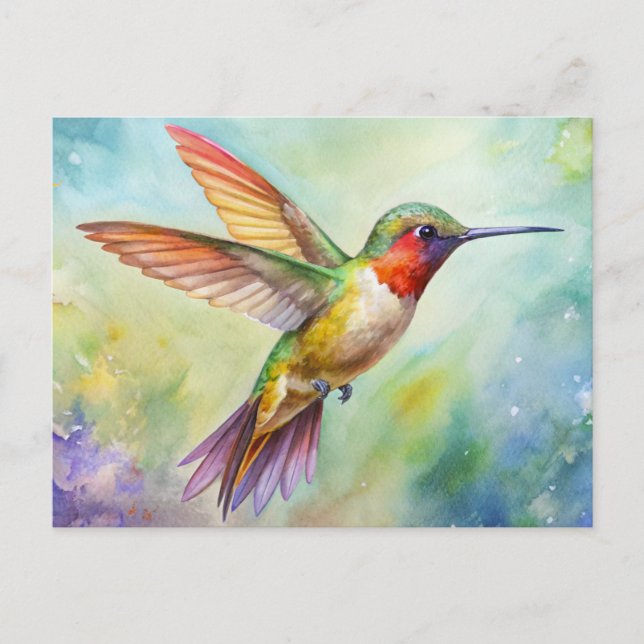 Postal Rufous Hummingbird (Anverso)