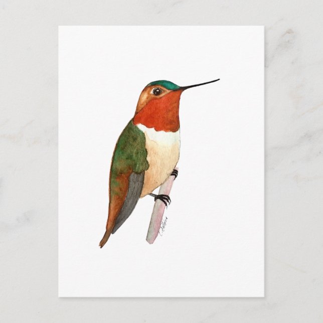 Postal Rufous Hummingbird (Anverso)