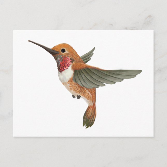 Postal Rufous Hummingbird (Anverso)