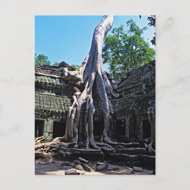 Postal Ruina de Ta Prohm - Angkor Wat, Camboya, Asia (Anverso)