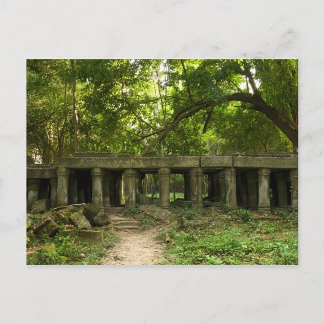 Postal Ruinas en la jungla (Anverso)